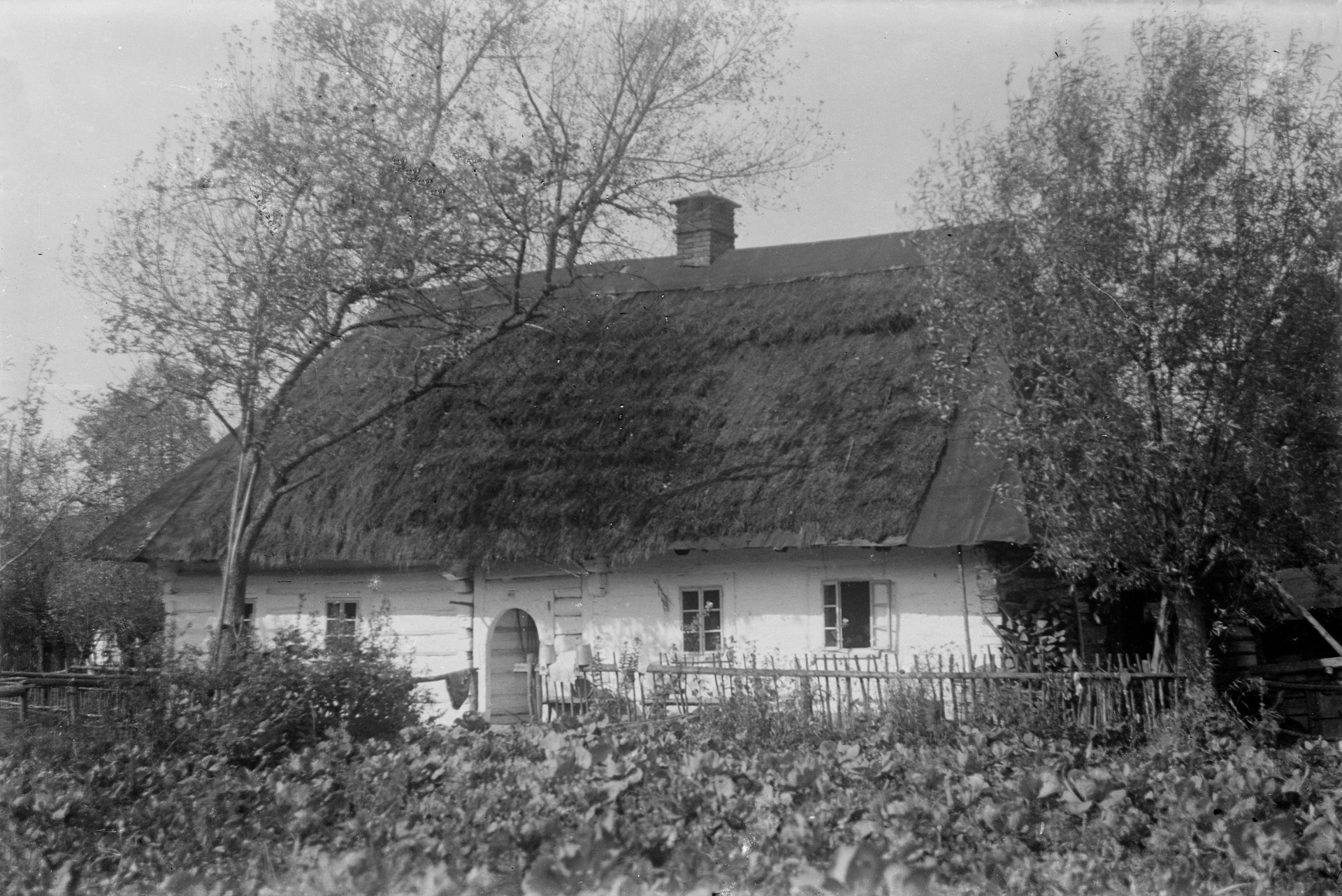 Projekt bez nazwy-83
